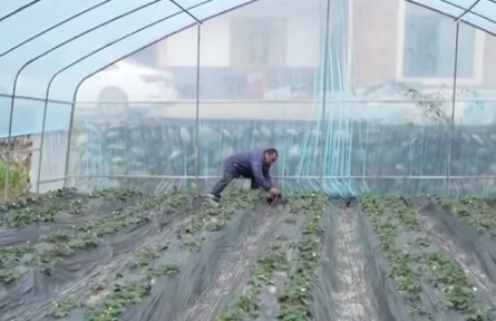 【新春走基層】關(guān)壩村的“甜蜜事業(yè)”