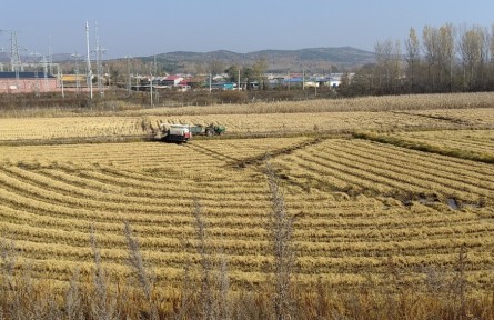 黑龍江哈爾濱出臺(tái)黑土地保護(hù)工程實(shí)施方案