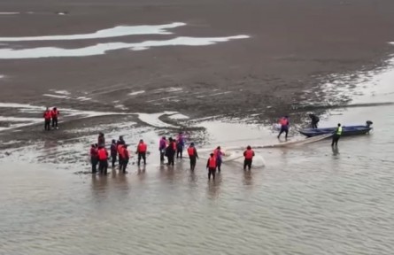 江西：鄱陽(yáng)湖長(zhǎng)江江豚第五次遷地保護(hù)開始實(shí)施