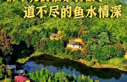 十年兩會·溫暖記憶｜“講不完的油茶樹故事，道不盡的魚水情深”