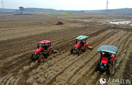 江西豐城：“鐵?！瘪Y騁 整田備耕