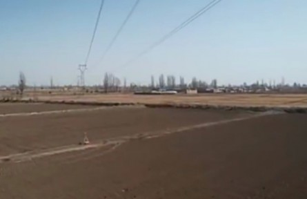 搶抓有利農(nóng)時 寧夏春播生產(chǎn)進(jìn)度已過半