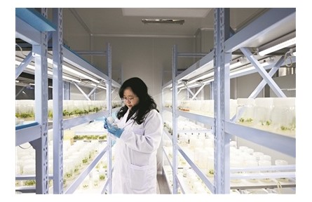 厚植沃土，為創(chuàng)新發(fā)展注入人才動(dòng)力