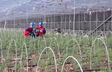 吉林省有序推進備春耕生產