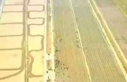 “糧田”變“良田” 寧夏高標準農田建設快速推進