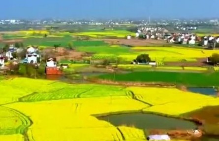 安徽：穩(wěn)面積 攻單產 各地春耕備耕有序推進