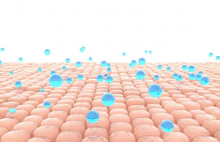科技名詞 | 皮膚老化 skin aging，cutaneous aging