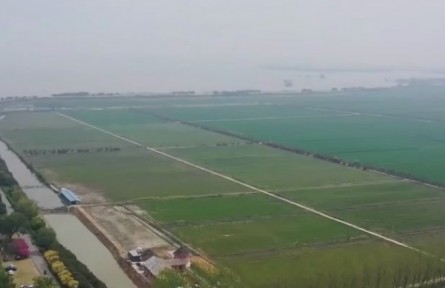 江蘇淮安：讓春耕更綠色 建立廢舊農膜回收體系 “變廢為寶”