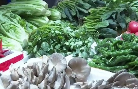 安徽：全力推進暖民心行動 為幸福加溫