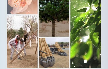 時(shí)政新聞眼 | 在今年首都義務(wù)植樹現(xiàn)場，習(xí)近平這三句話飽含深意