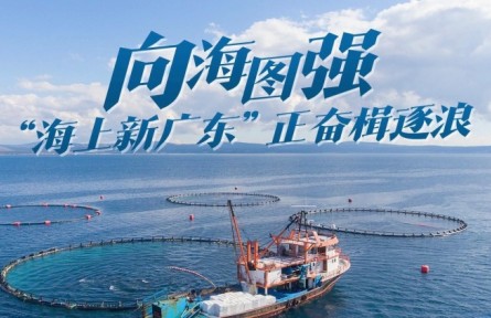向海圖強(qiáng)！“海上新廣東”正奮楫逐浪