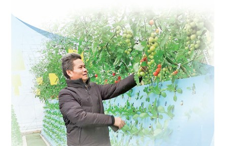 徐偉忠：氣霧栽培，種出瓜果蔬菜