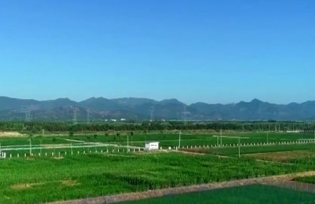 農業(yè)農村部：我國“種業(yè)振興行動”取得積極進展