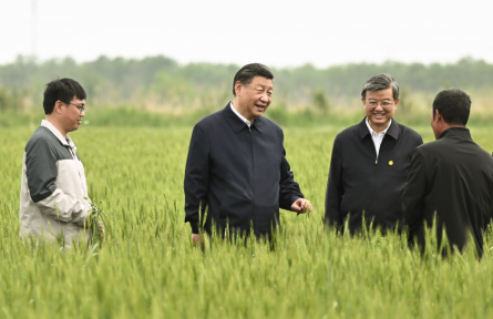 一見·從總書記下田，看糧食安全的“加減法”
