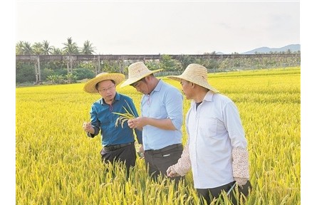 40年南北遷徙，育種人無問西東——記江蘇里下河地區(qū)農(nóng)業(yè)科學研究所水稻育種團隊