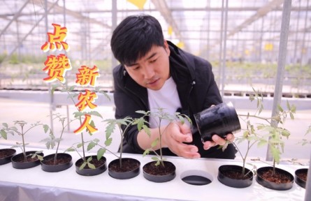 “新農(nóng)人”茅賽賽：當種菜這件小事有了“科技感”