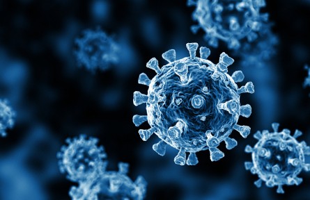 科技名詞 | 病毒 Virus
