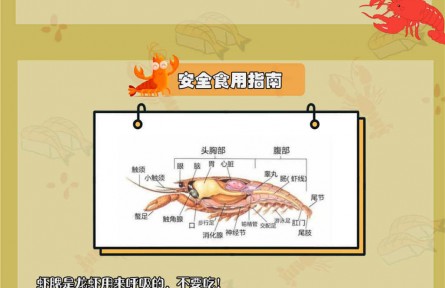 小龍蝦自帶寄生蟲？體內(nèi)藏著重金屬？吃小龍蝦原來有這些講究