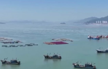 農業(yè)農村部：我國深遠海養(yǎng)殖取得初步成效 計劃再新建深遠海養(yǎng)殖規(guī)模1600萬立方米