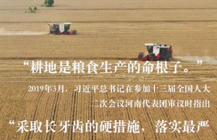 習(xí)近平總書記關(guān)切事|藏糧于地、藏糧于技，筑牢豐收之基