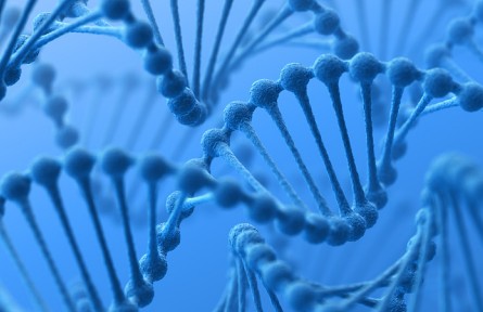 科技名詞 | 酵母人工染色體 yeast artificial chromosome，YAC