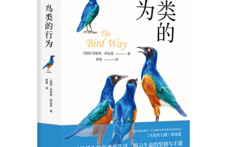 妙趣橫生的鳥(niǎo)類私生活，顛覆你的傳統(tǒng)認(rèn)知