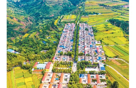 落實落細(xì)耕地保護責(zé)任 守好種好“飯碗田”