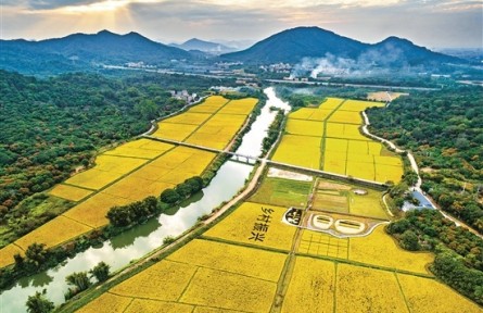 廣東廣州：慶祝農(nóng)民豐收節(jié)主會(huì)場(chǎng)活動(dòng)9月22日開(kāi)幕