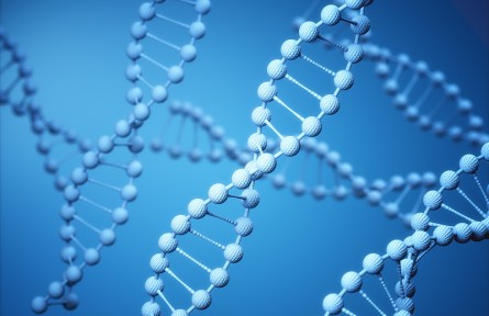 科技名詞 | 分子伴侶  Chaperone，Molecular chaperone
