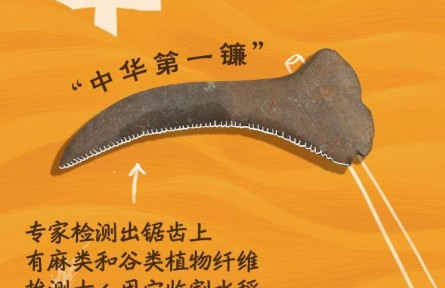 從“鏟鏟盤盤”中，一窺8000年前的豐收圖景