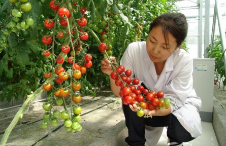 豐收季，來看這個國家農(nóng)業(yè)科技園區(qū)的“黑科技”