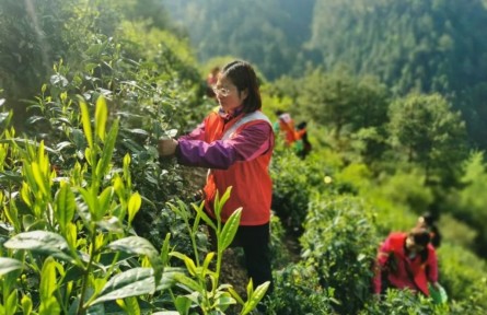 “全國三八紅旗手”江紫霞：多為群眾辦實(shí)事，心里踏實(shí)
