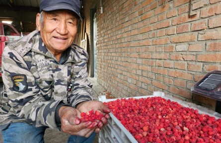 黑龍江甘南：校縣共建 為農(nóng)業(yè)插上科技的翅膀