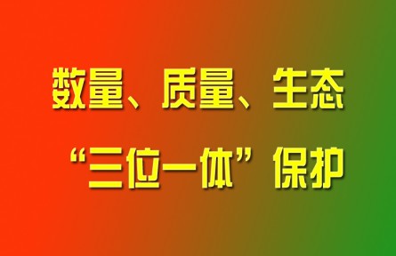 習(xí)近平論強(qiáng)化耕地數(shù)量、質(zhì)量、生態(tài)“三位一體”保護(hù)