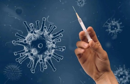 胸腺是免疫器官，那胸腺肽就可以提高免疫力嗎？