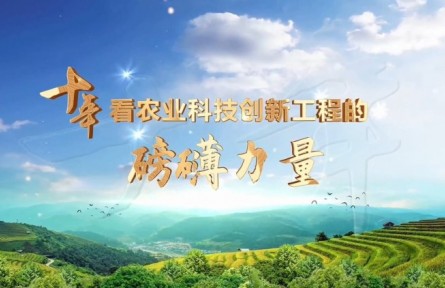 十年，看農(nóng)業(yè)科技創(chuàng)新工程的磅礴力量