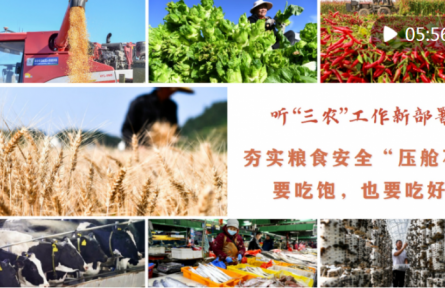 聽“三農”工作新部署｜夯實糧食安全“壓艙石”：要吃飽，也要吃好