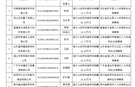 人力資源和社會保障部公布一批拖欠農民工工資失信聯(lián)合懲戒對象名單