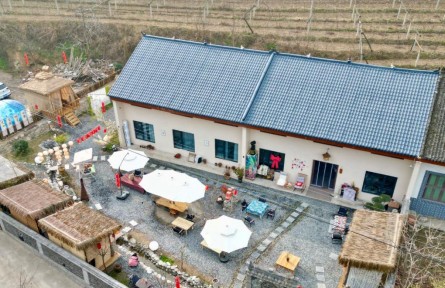 生態(tài)優(yōu)勢助力秦嶺山村產業(yè)振興