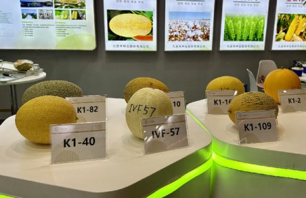 第三屆三亞國際種業(yè)科技博覽會：新品種、新技術(shù)、新設(shè)備展現(xiàn)種業(yè)科技新成果