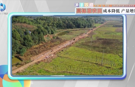 “窄田”變“寬田”，湖南湘潭搶建高標(biāo)準(zhǔn)農(nóng)田