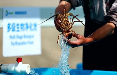 全國(guó)首個(gè)液化天然氣冷能養(yǎng)殖示范項(xiàng)目出魚(yú)