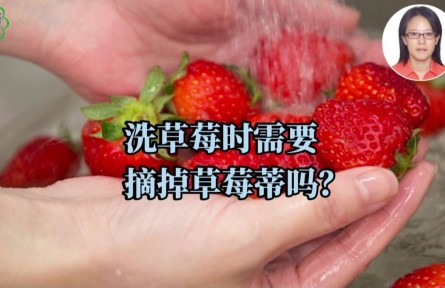 洗草莓時(shí)需要摘草莓蒂嗎？