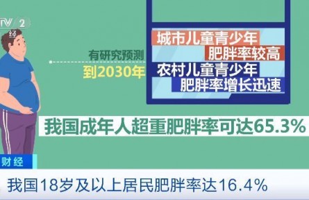 “不吃主食”“光靠運(yùn)動(dòng)”是減肥誤區(qū)！