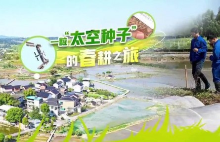 一?！疤辗N子”的春耕之旅