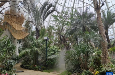 成都世園會(huì)：“神奇植物”在哪里？