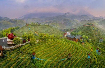 福建三明：品牌賦能，讓高質(zhì)量發(fā)展成色更足