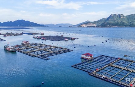 福建寧德：念好“山海經” 唱響耕山牧漁曲