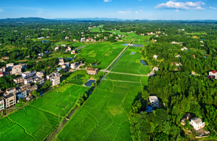 全國(guó)土地日|湖南株洲四級(jí)田長(zhǎng)話耕保——真抓實(shí)干護(hù)良田