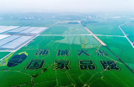 福建浦城：科技賦能，大米產(chǎn)業(yè)邁進數(shù)字化時代
